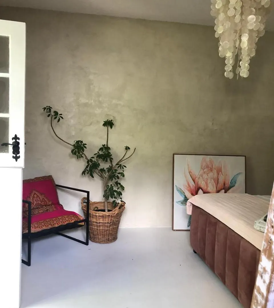 Olam Retreat And Luxury Guest House Ciudad del Cabo Hotel
